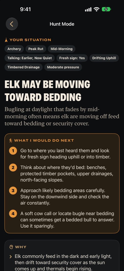 Hunt Mode result: elk may be moving toward bedding, with next steps
